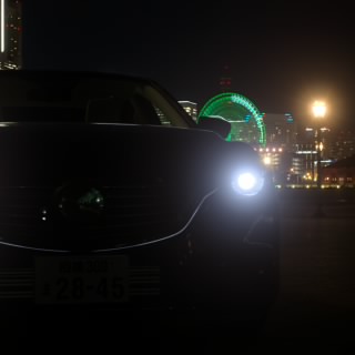 KIM将軍_810