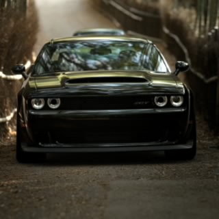 Mr4_Spyder