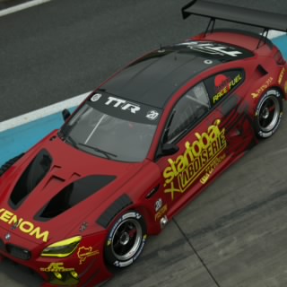 TTR_Piston