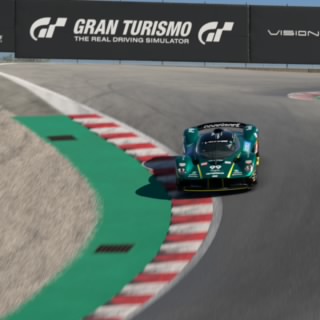 The Stig