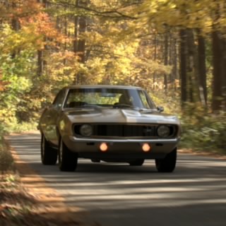 Pony281