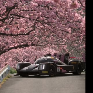 Fraga_racing