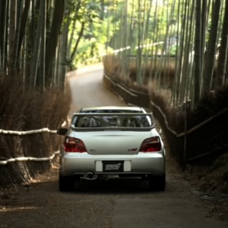 D. Impreza