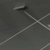 Hondategtyper