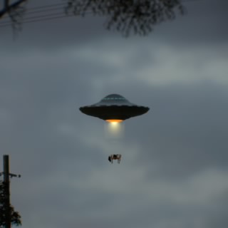 Tică