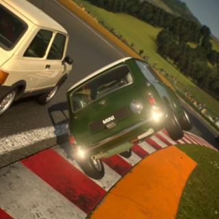 G-ruffus
