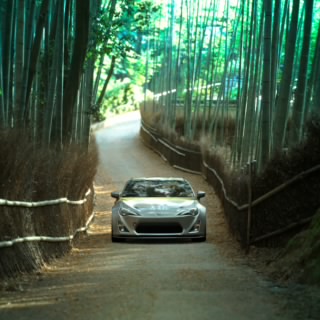 Shingen