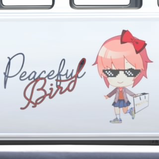 PEACEFULBIRD593