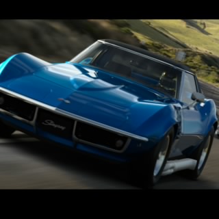 Panther