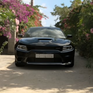 الشبح الاسود