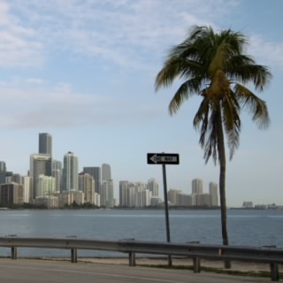 Ocean Avenue