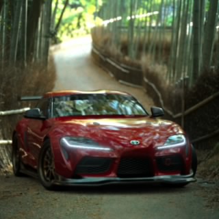 Joery-supra