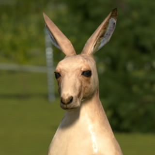 あーさん