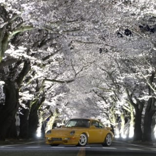 Dame