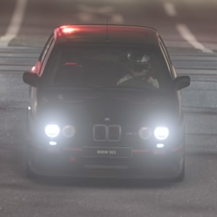Dreisi78