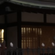 Hide