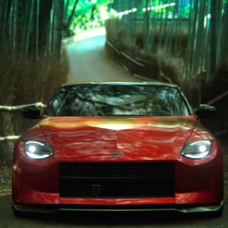 Z31d