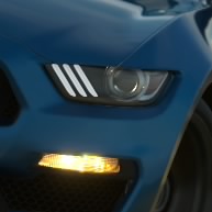 The Ginger