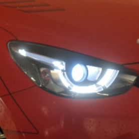 F11