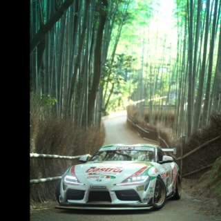 Bushido