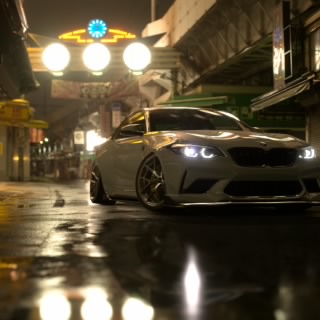 B. Tailpied