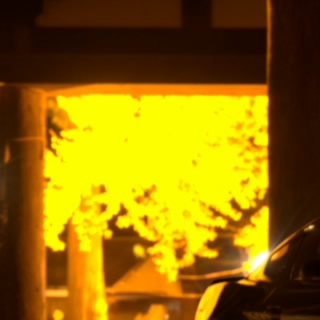 RE_Reze
