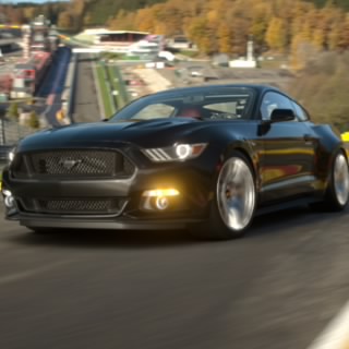 Owner