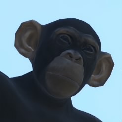 HUNGyuszi76