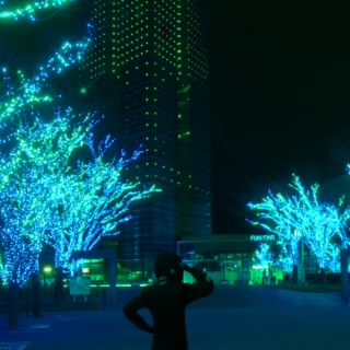 ARISTON_F