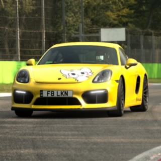 Falken
