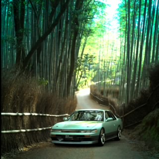FerSupra