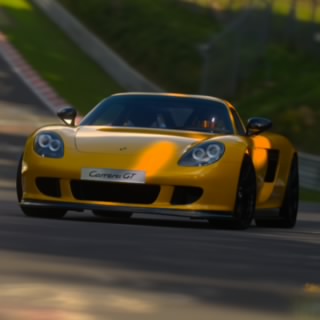 Mr.Spaghetti