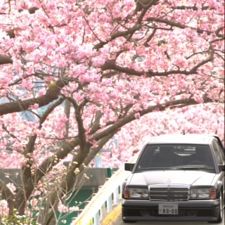 のば