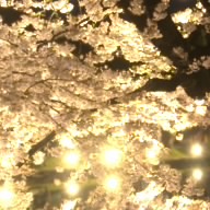 Daigo