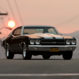 M.T.J