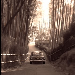 Francisco Sainz