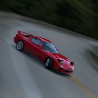 illegalcat9 