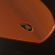 CoRo