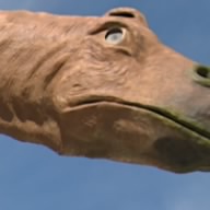 Goose