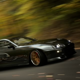 Gojira