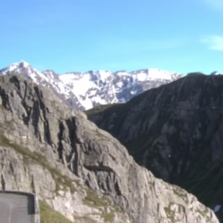 Niiico