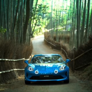 阪奈瑞洋