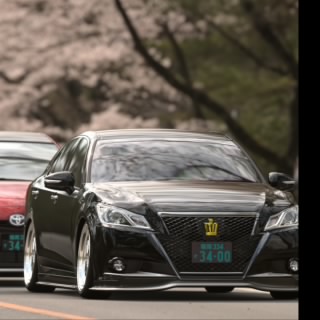 ちゃちゃ丸