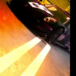 SMI_LUPO_VERDE3
