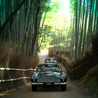 S. Shinobou