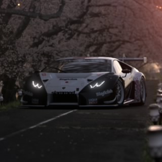 777.Lynx