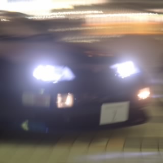 mycoalwoo
