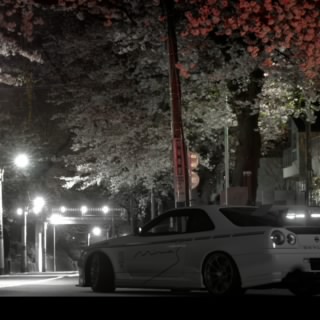 KinG736