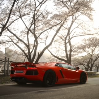 yadiel_pr_1209