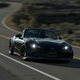 TheGerman